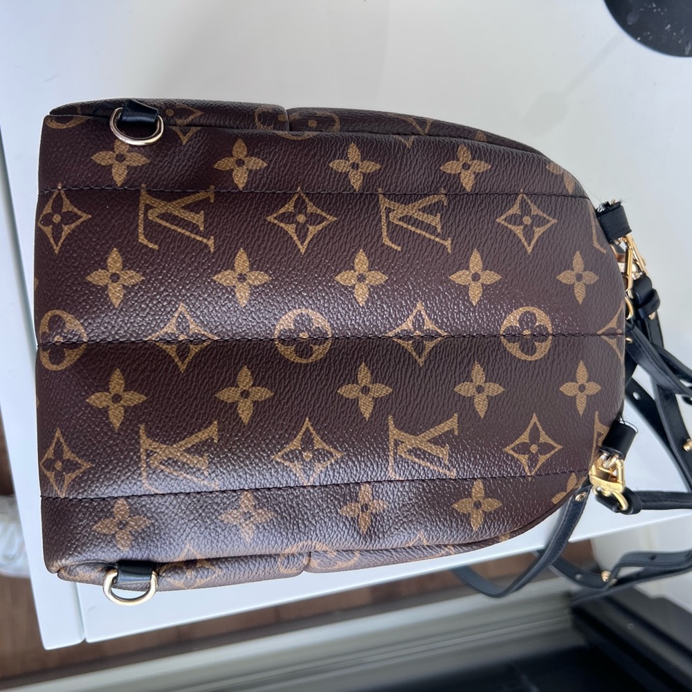 Louis Vuitton Palm Spring Mini Backpack - Picture 5 of 8